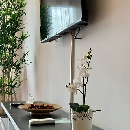 Apartment Grupo Morgado - Quinta Do Morgado - Morgado Village