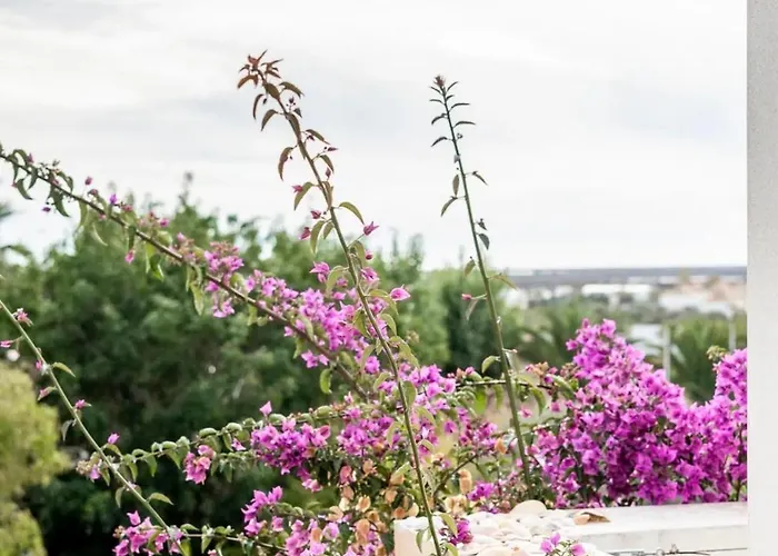 Grupo Morgado - Quinta Do Morgado - Morgado Village Appartement *